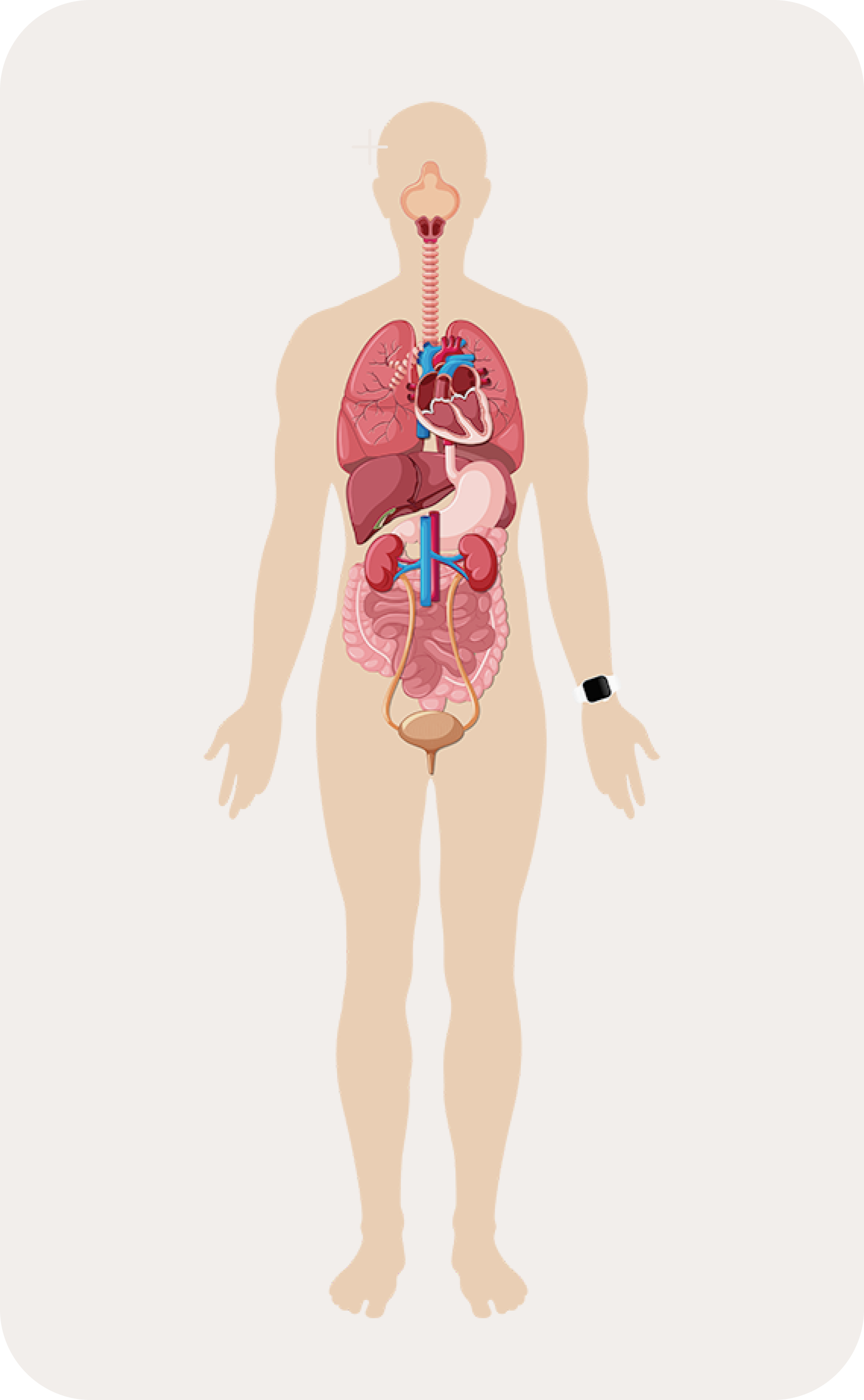 Body Map